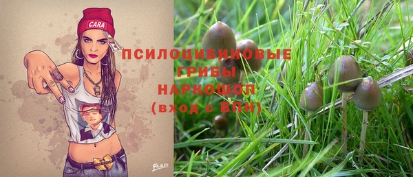 синтетический гашиш Арсеньев